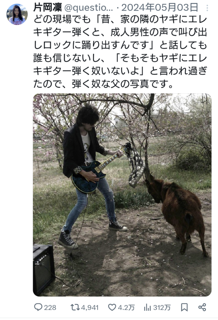ヤギにギターを聞かせる