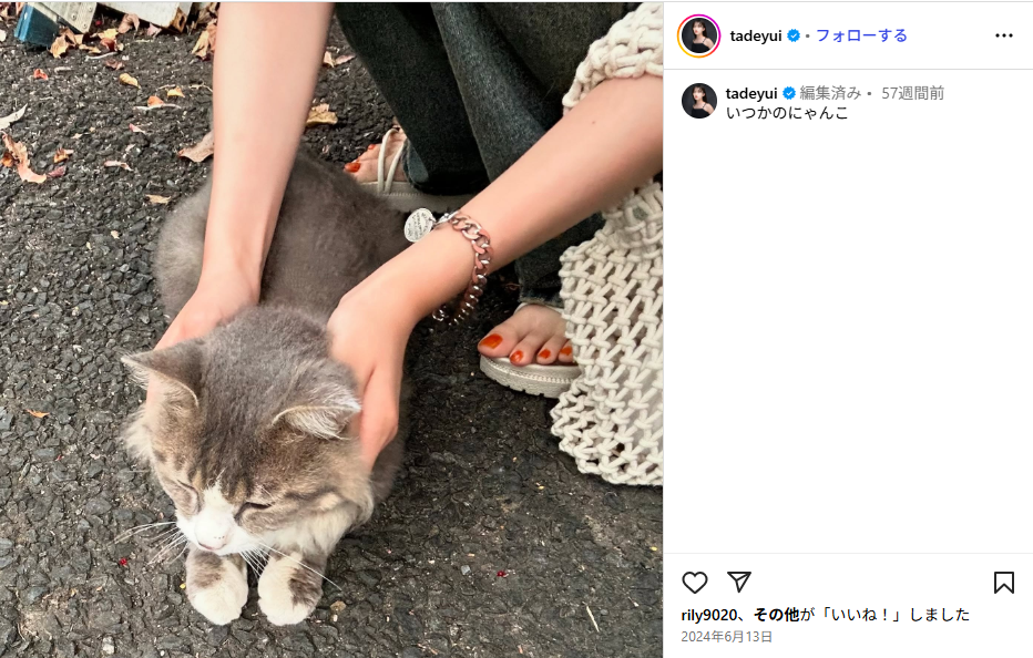 蓼沼優衣と猫